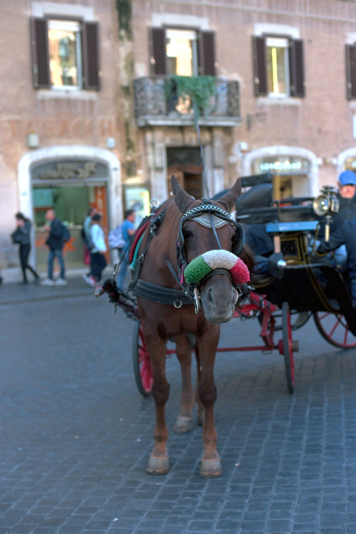 Nikon F2 Photomic AS, Kodak Portra 160