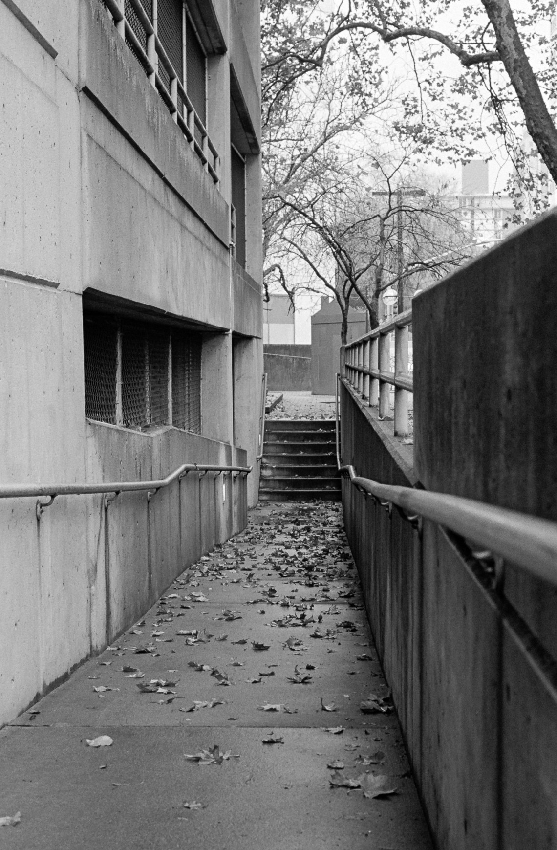 Kodak Tri-X, Kodak HC-11 4.5 minutes, Pakon F135 scan