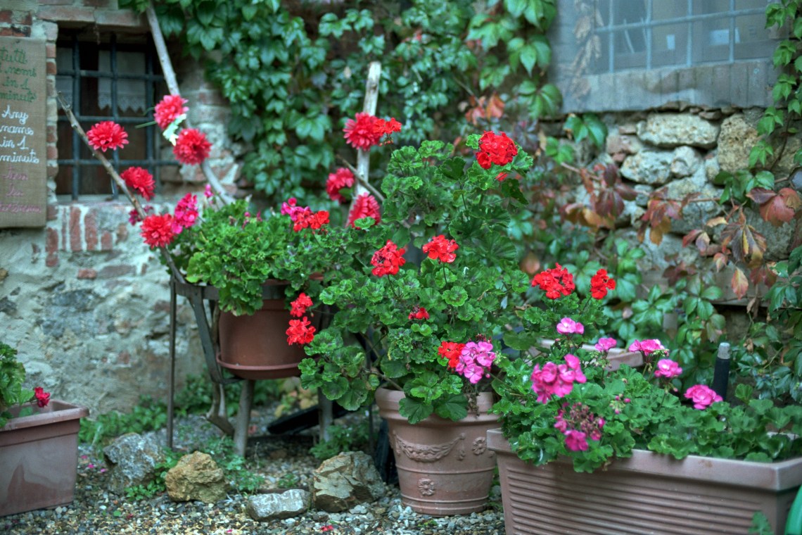 Nikon F2 Photomic AS, Kodak Portra 160