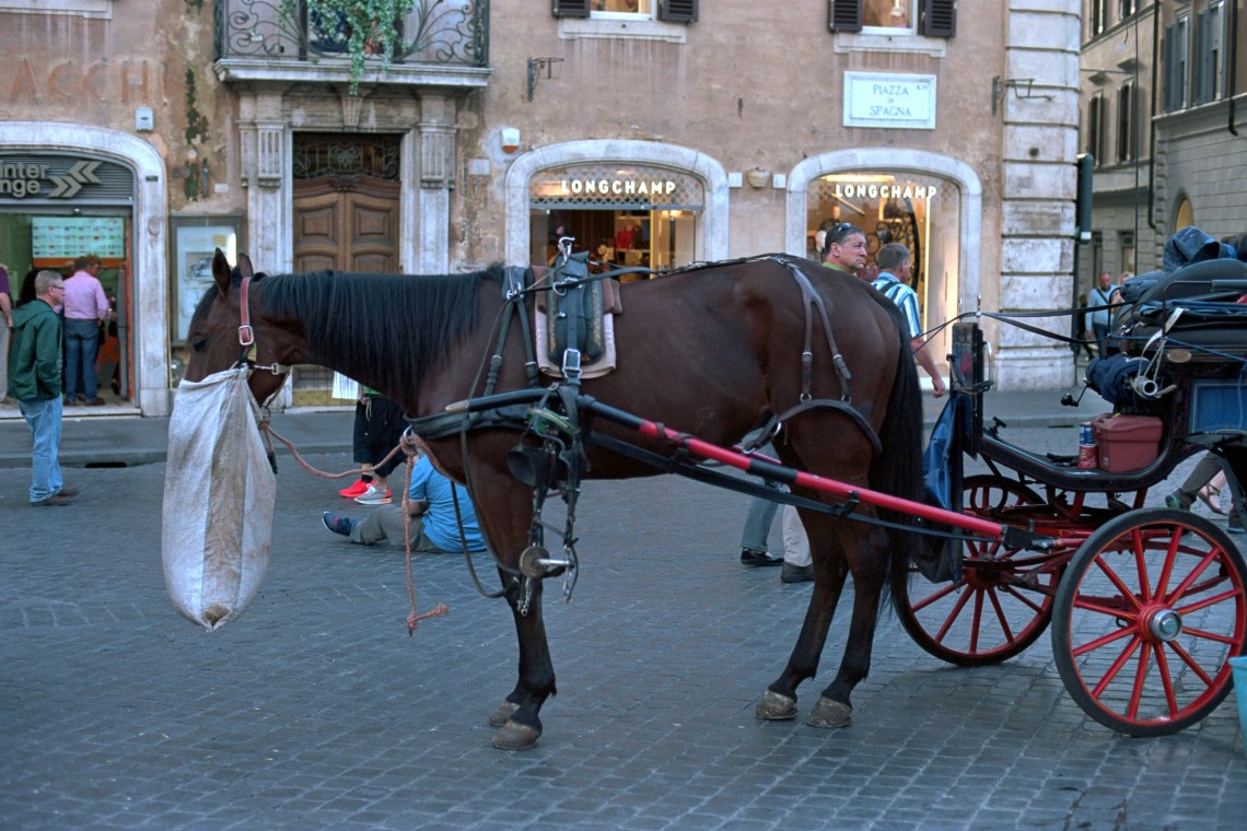 Nikon F2 Photomic AS, Kodak Portra 160