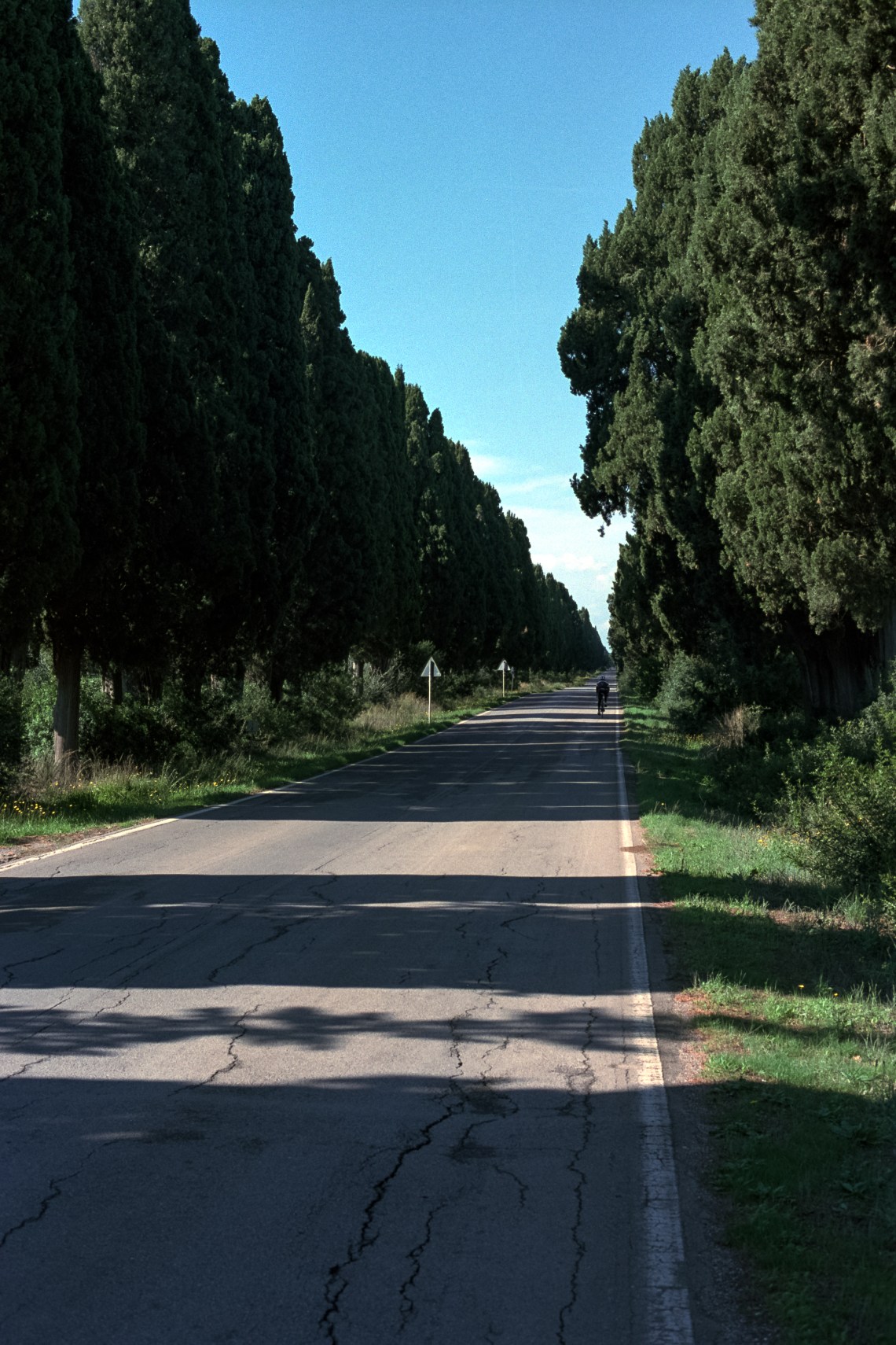 Nikon F2 Photomic AS, Kodak Portra 160