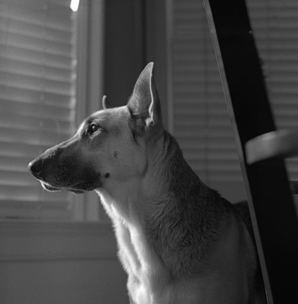 30400263563_847de8cf44_k