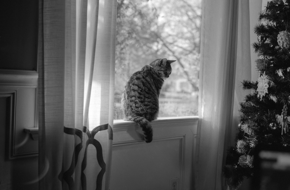 gw_690_sophia_bench005